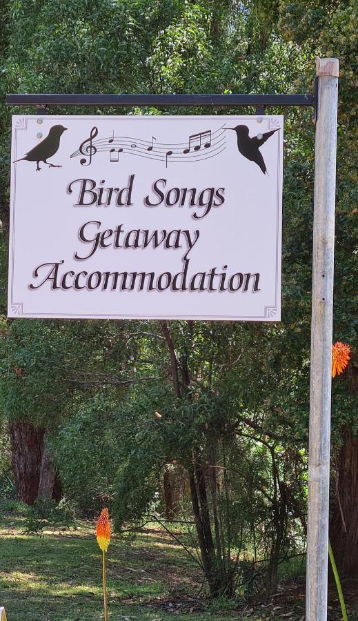 Bird Songs Getaway Accommodation Cabbage Tree Creek Exterior foto